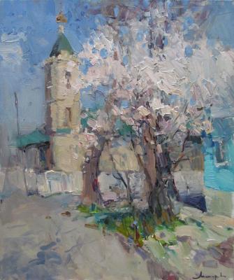 Blue shadows of the new spring. Makarov Vitaly
