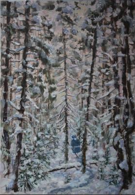 Spruce forest in january. Korepanov Alexander