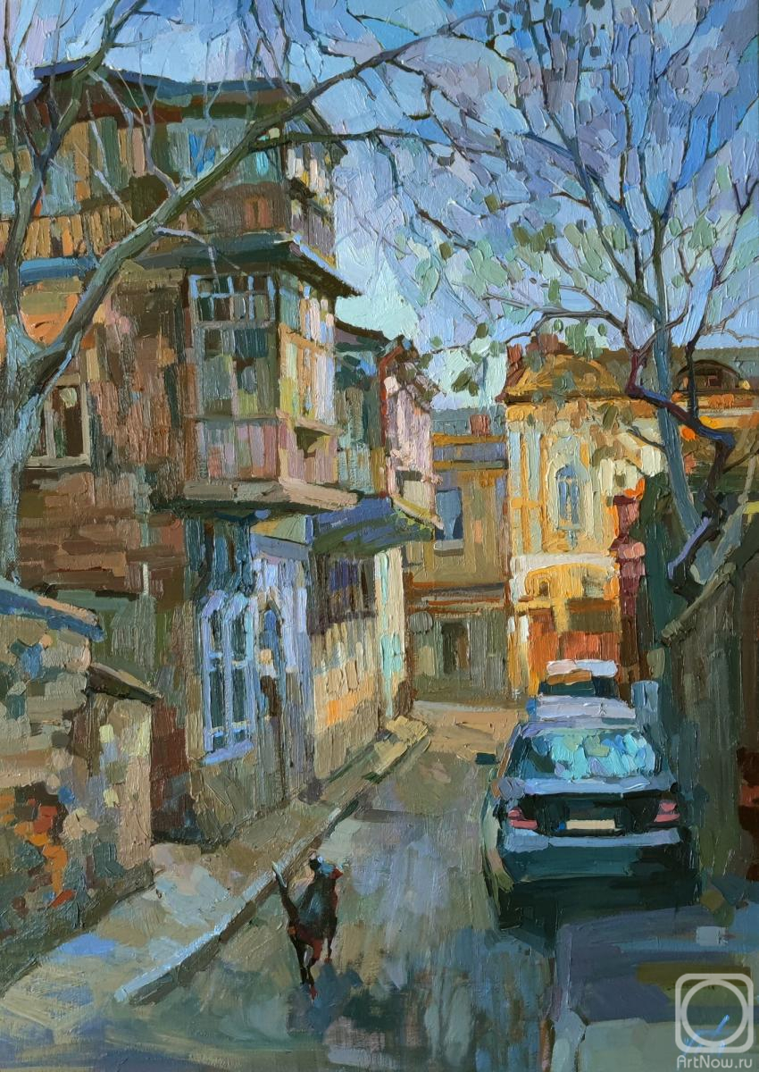 Chizhova Viktoria. Old Tbilisi