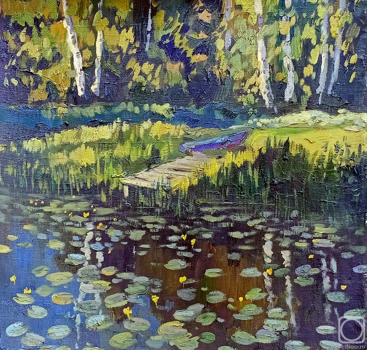 Gerasimova Natalia. Evening. Overgrown pond on Akademichka