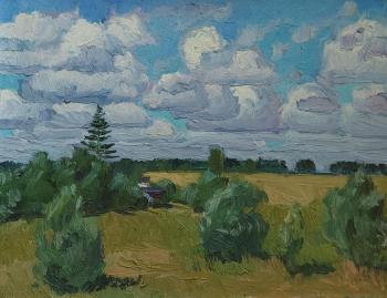 A cloudy day in the middle of summer. Melnikov Aleksandr