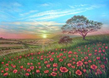 Poppy field at sunset. Kulagin Oleg