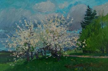 Plum blossoms on the road on the hill. Melnikov Aleksandr