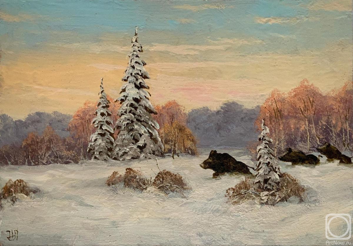 Lyamin Nikolay. Wild Boars in the Forest