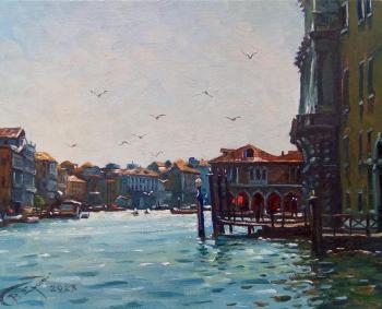 Seagulls over the Grand Canal