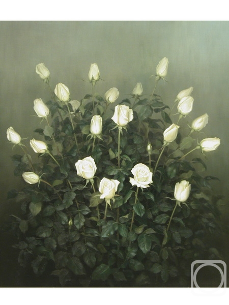 Zhukov Alexey. White roses