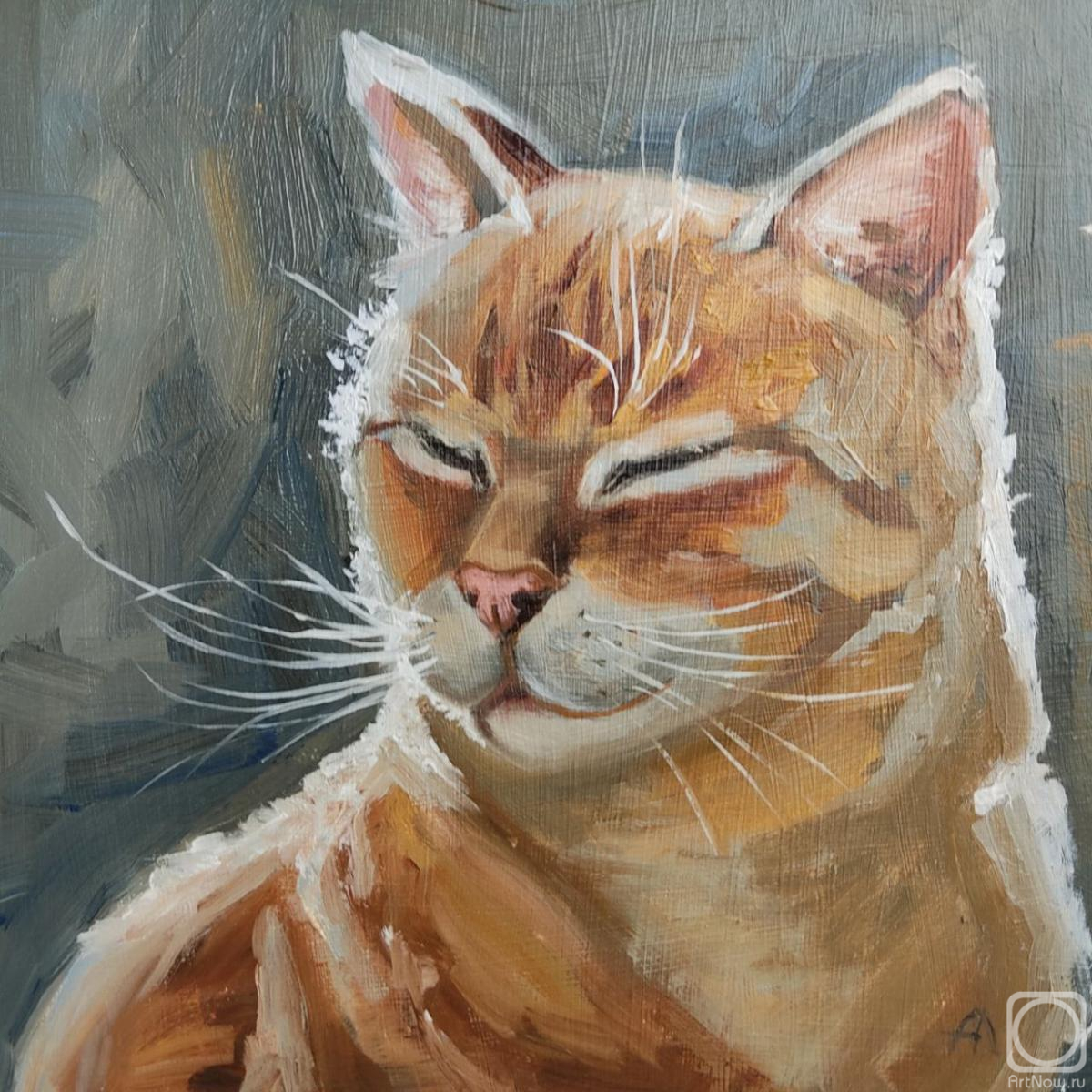 Lapina Albina. Cat painting red cat artwork original oil art pet portrate