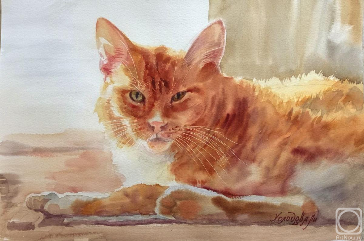 Картина. Холодова Лилия. Солнечный кот
