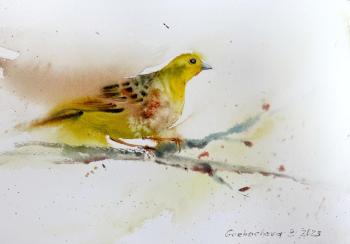 Little yellow bird. Gorbacheva Evgeniya