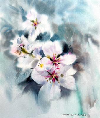 Almond flowers #7. Gorbacheva Evgeniya
