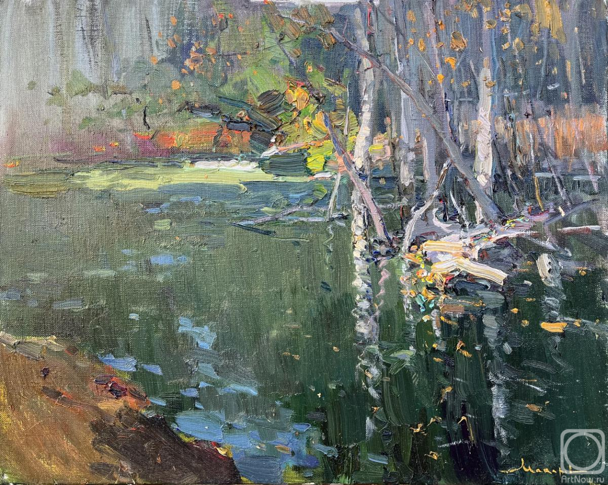 Makarov Vitaly. Autumn water