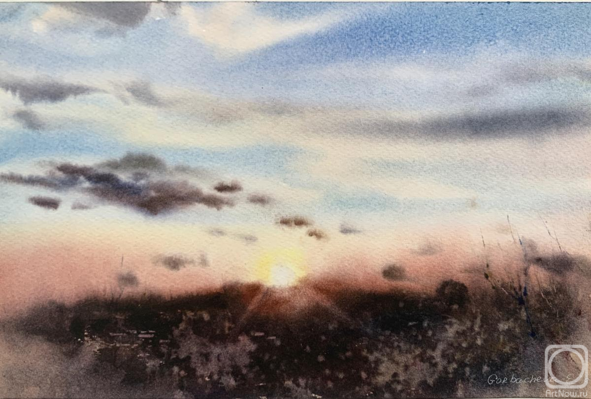 Gorbacheva Evgeniya. Field at sunset