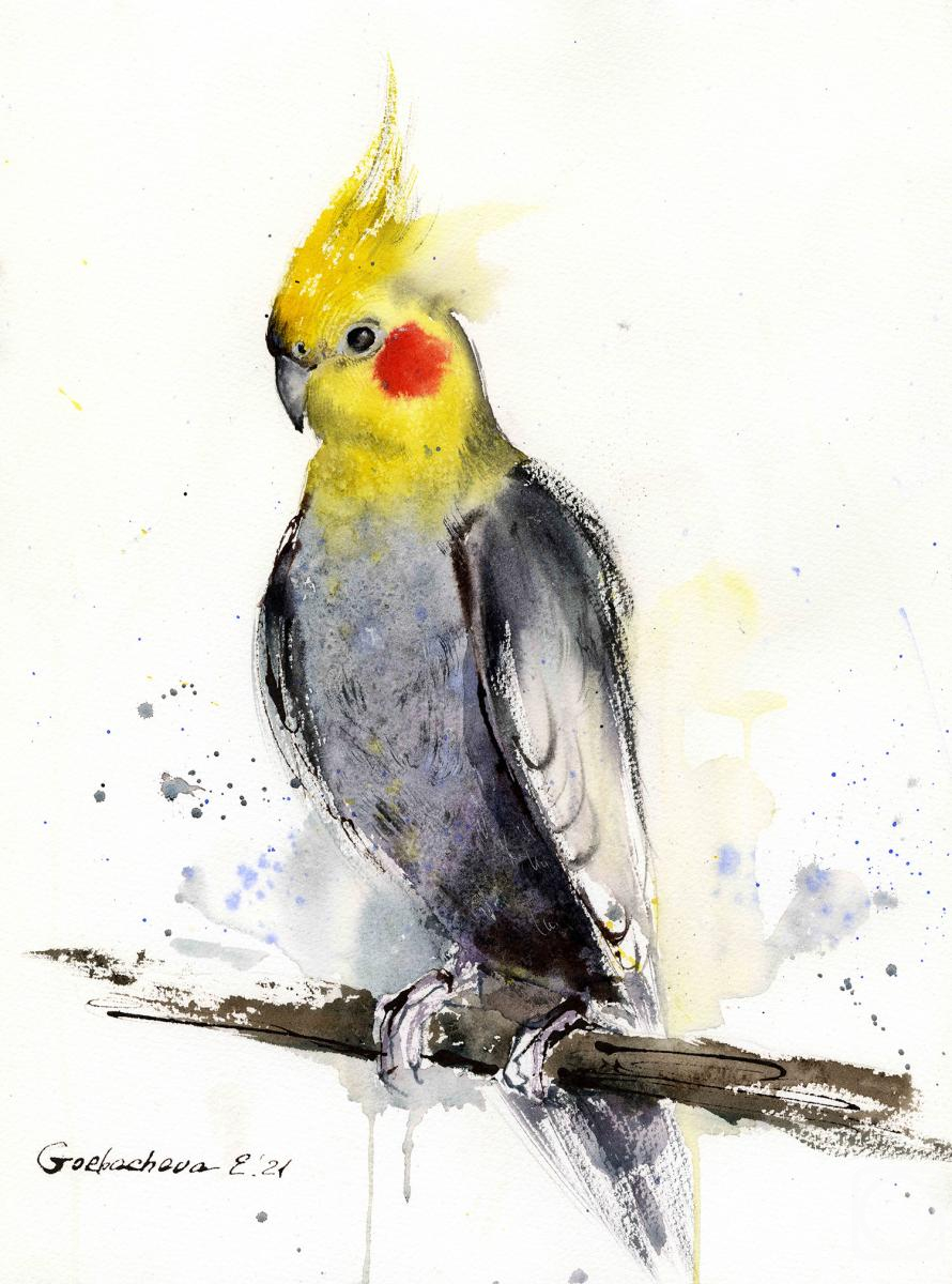 Gorbacheva Evgeniya. Parrot on a branch