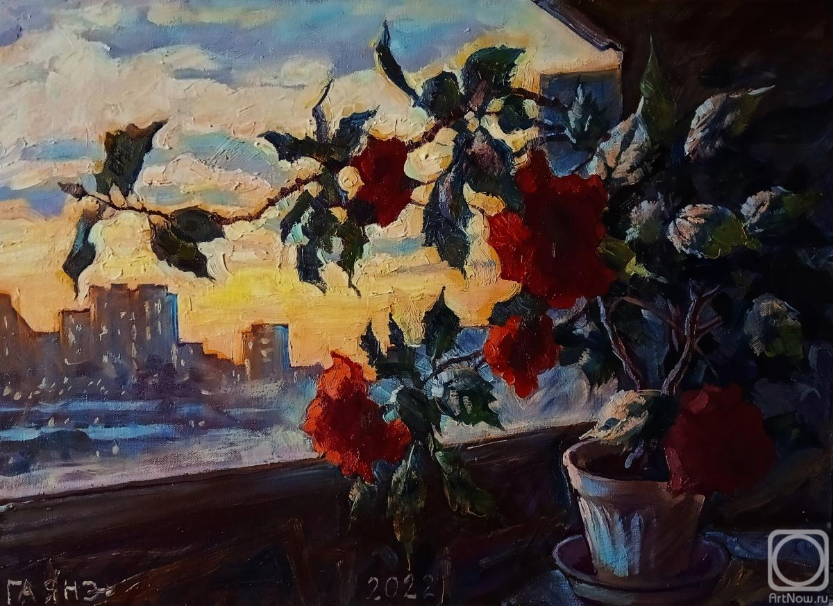 Dobrovolskaya Gayane. Hibiscus on the balcony, sunset