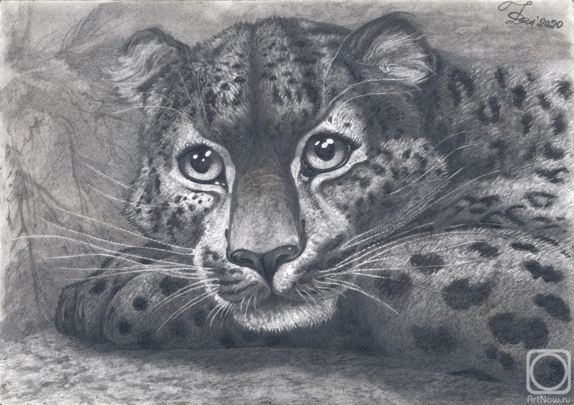 Dementiev Alexandr. Portrait of a young leopard