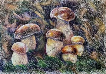 Mushrooms. Lukaneva Larissa