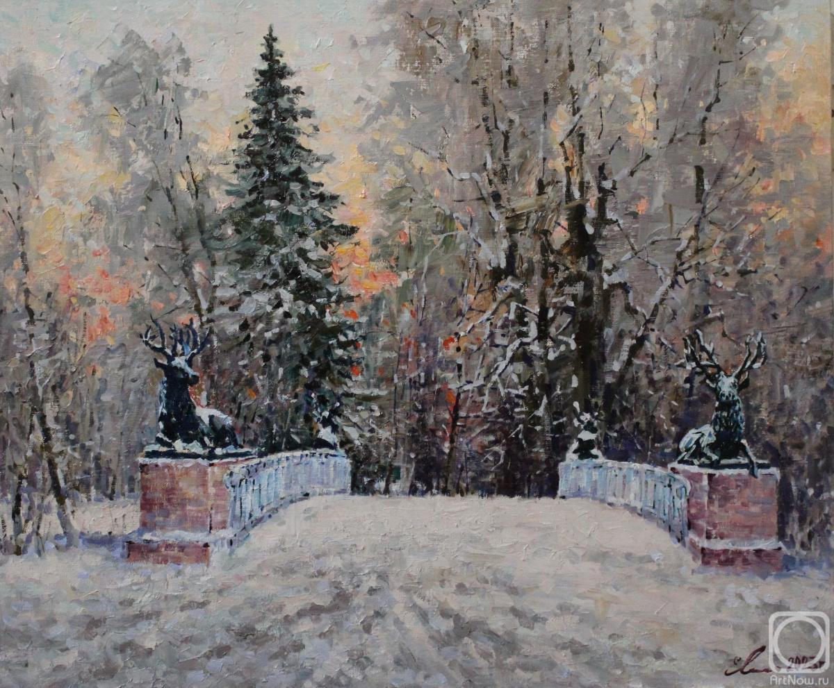 Malykh Evgeny. The Deer Bridge in Pavlovsk Park in winter