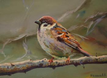 Sparrow. Melnik Alexandr