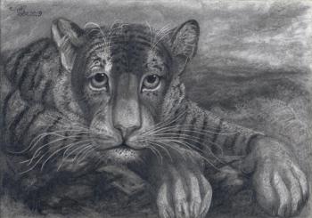 Portrait of a tiger cub. Dementiev Alexandr