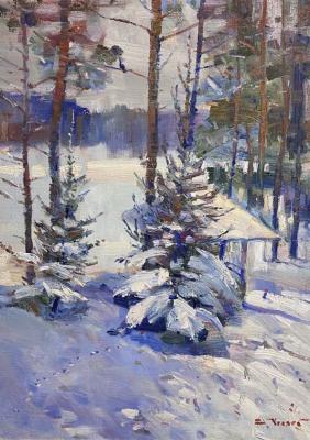 A walk in the winter park. Chelyaev Vadim