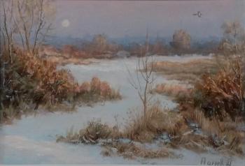 Winter evening. The pond on Sholmov. Panov Aleksandr