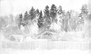 Spruce forest in winter. Mashin Igor