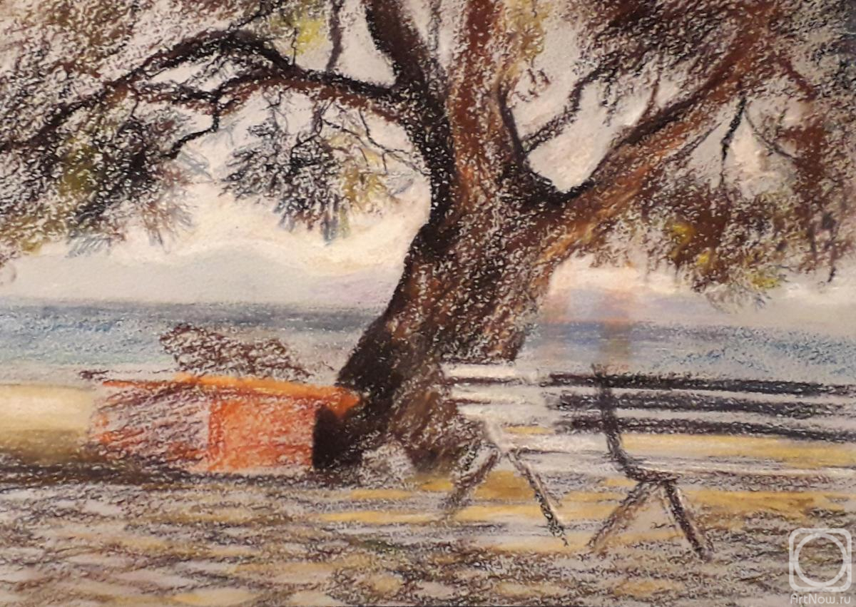 Malyusova Tatiana. Pine on the shore of Euboea