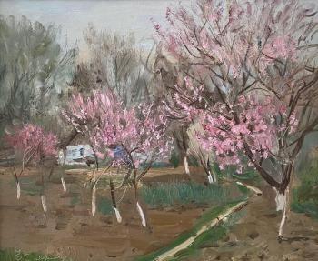 Peach trees blooming. Sayapina Elena