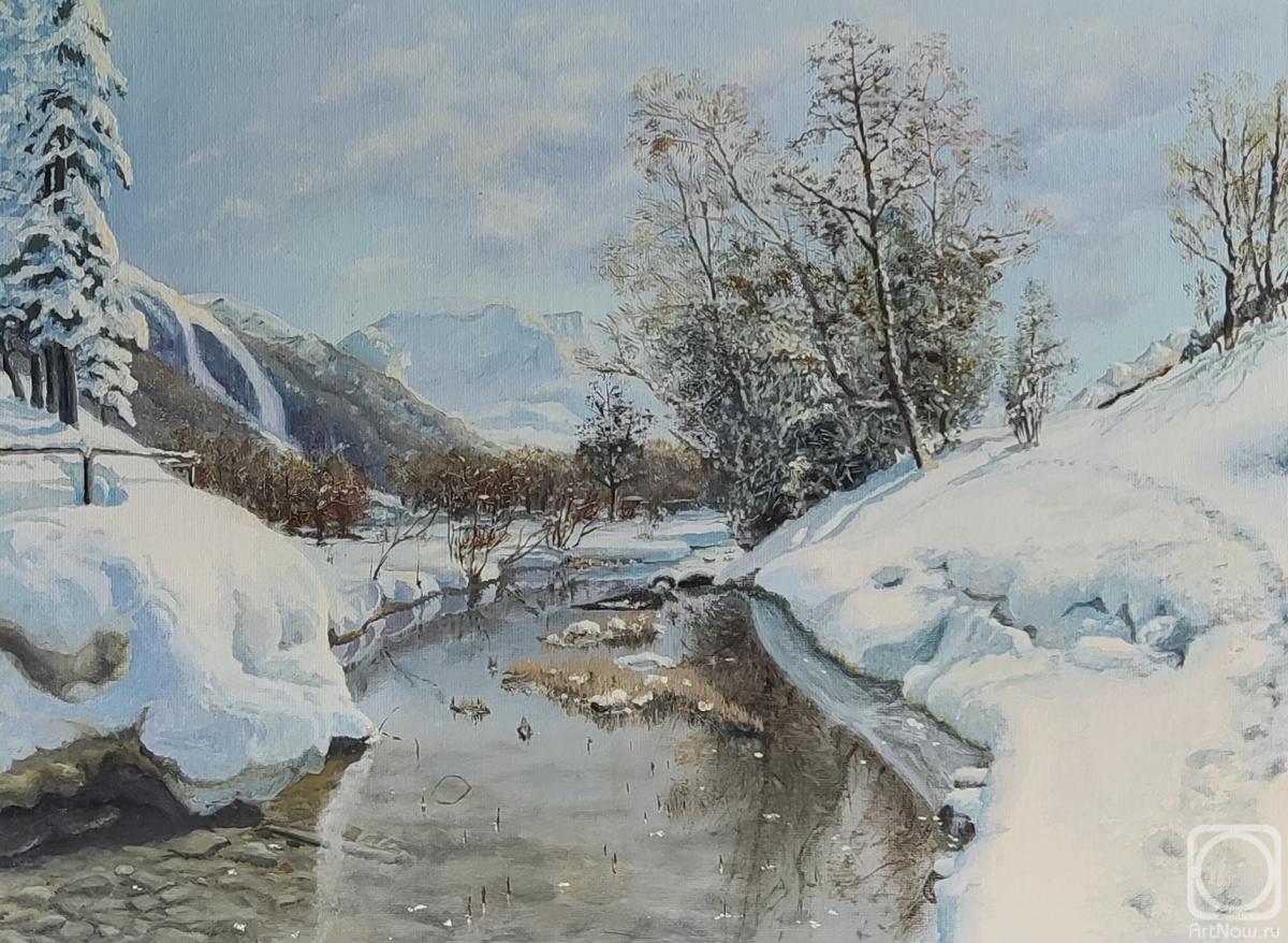 Stolyarov Gennadiy. Mountain stream in winter