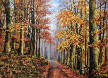 Golden autumn walks along colorful paths...