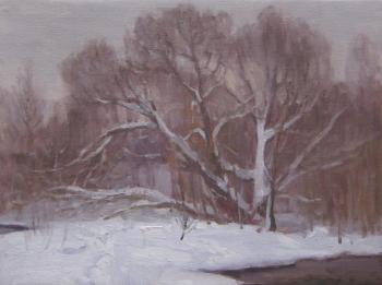 On the banks of the Yauza River. After a snowfall. Chertov Sergey