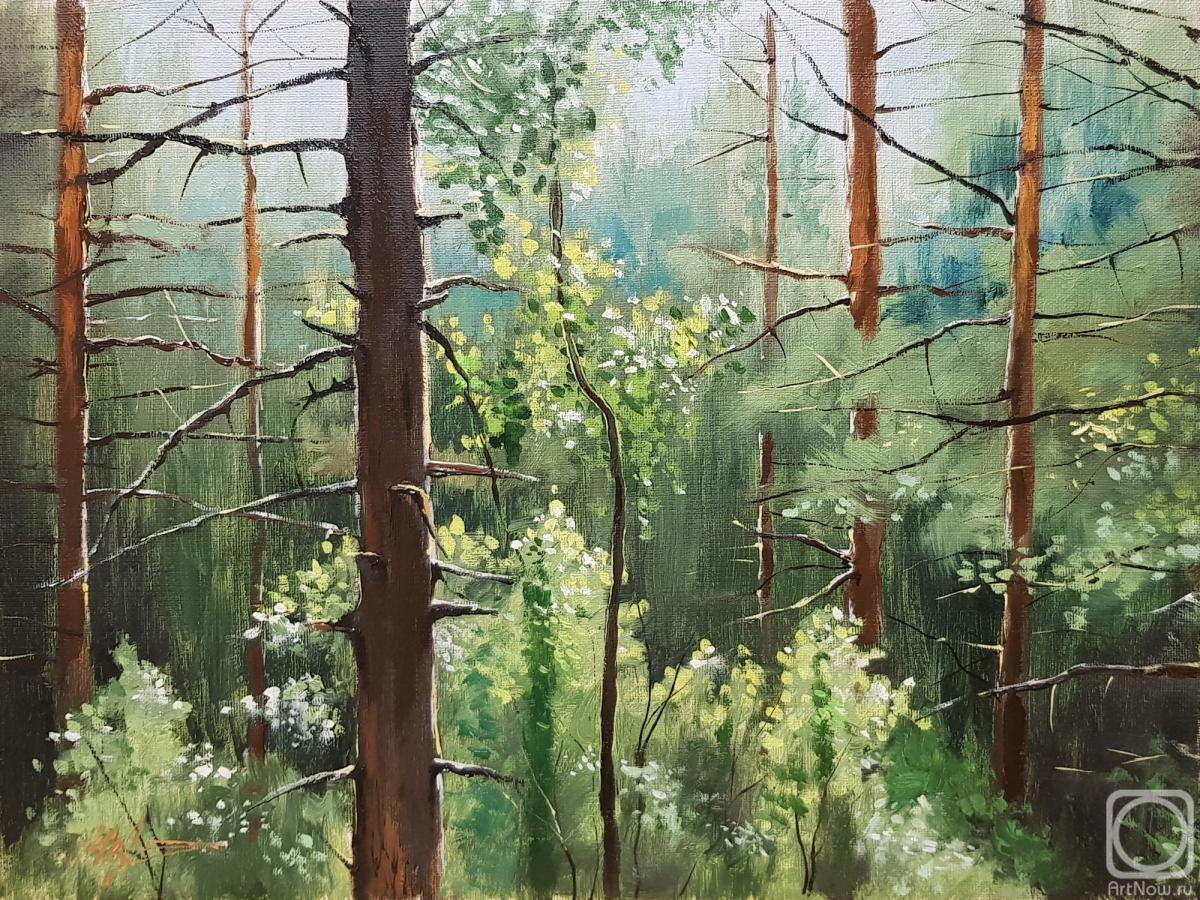 Movsisyan Tigran. Pine forest in summer