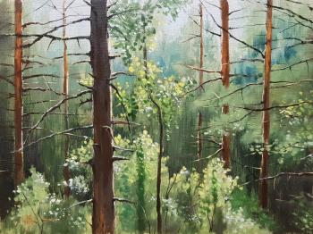 Pine forest in summer. Movsisyan Tigran