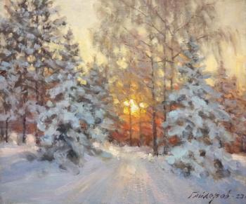 Winter's Tale. Gaiderov Michail