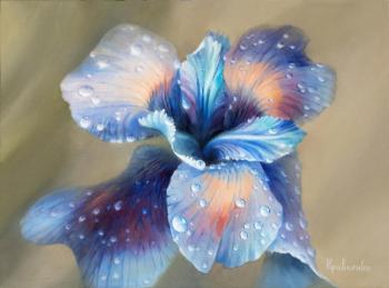 Iris Flower After Rain #1. Kravchenko Yuliya
