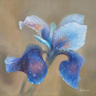 Iris Flower After Rain #4. Kravchenko Yuliya