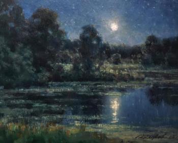 Moonlit Night. Gaiderov Michail