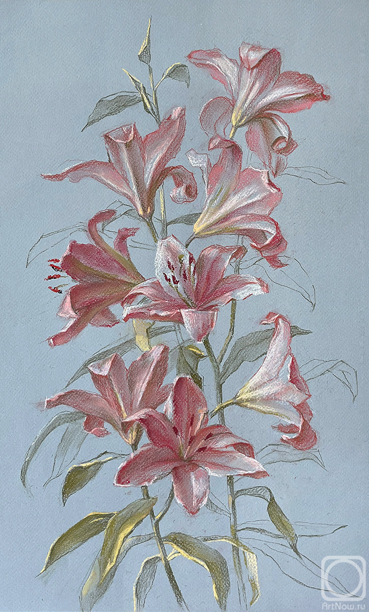 Schemeleva Alisa. A bouquet of pink lilies