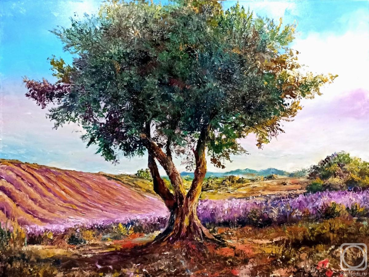 Murtazin Ilgiz. Olive Tree
