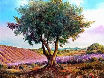 Olive Tree. Murtazin Ilgiz