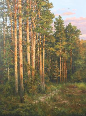Pine forest at sunset. Dorofeev Sergey