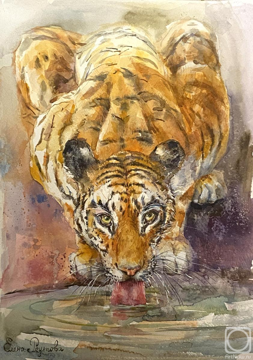Reutova Elena. Tiger watercolor