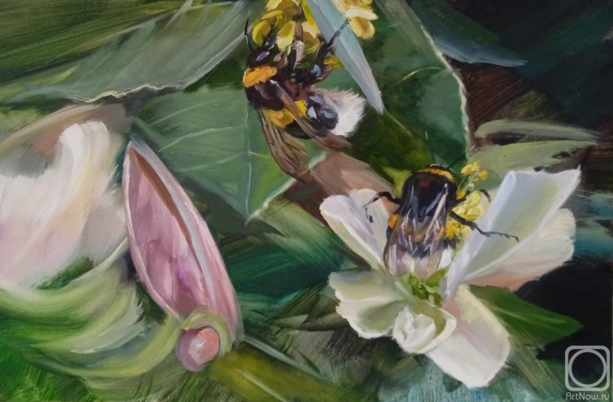 Korolev Andrey. Flowers & Bumblebees