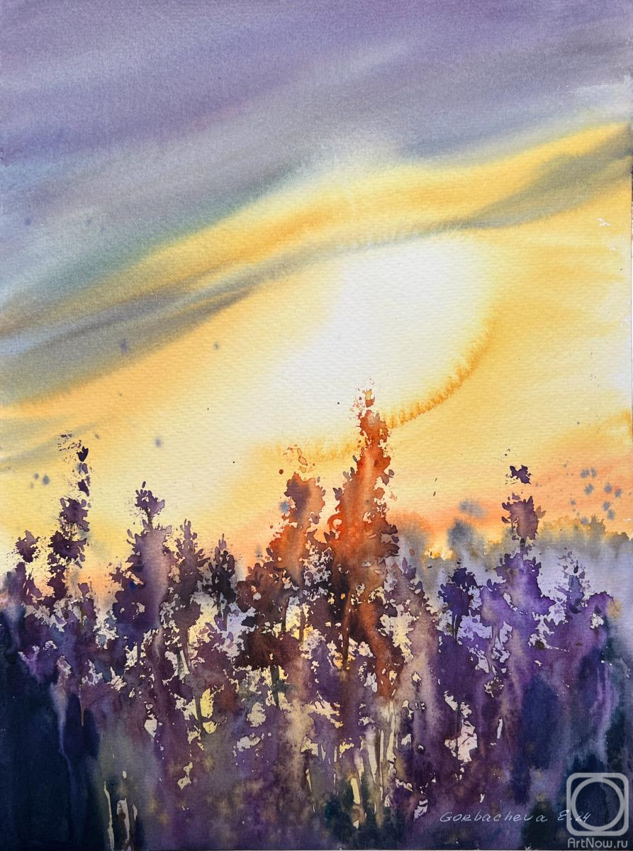 Gorbacheva Evgeniya. Lavender sunset
