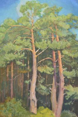 Landscape with pine trees