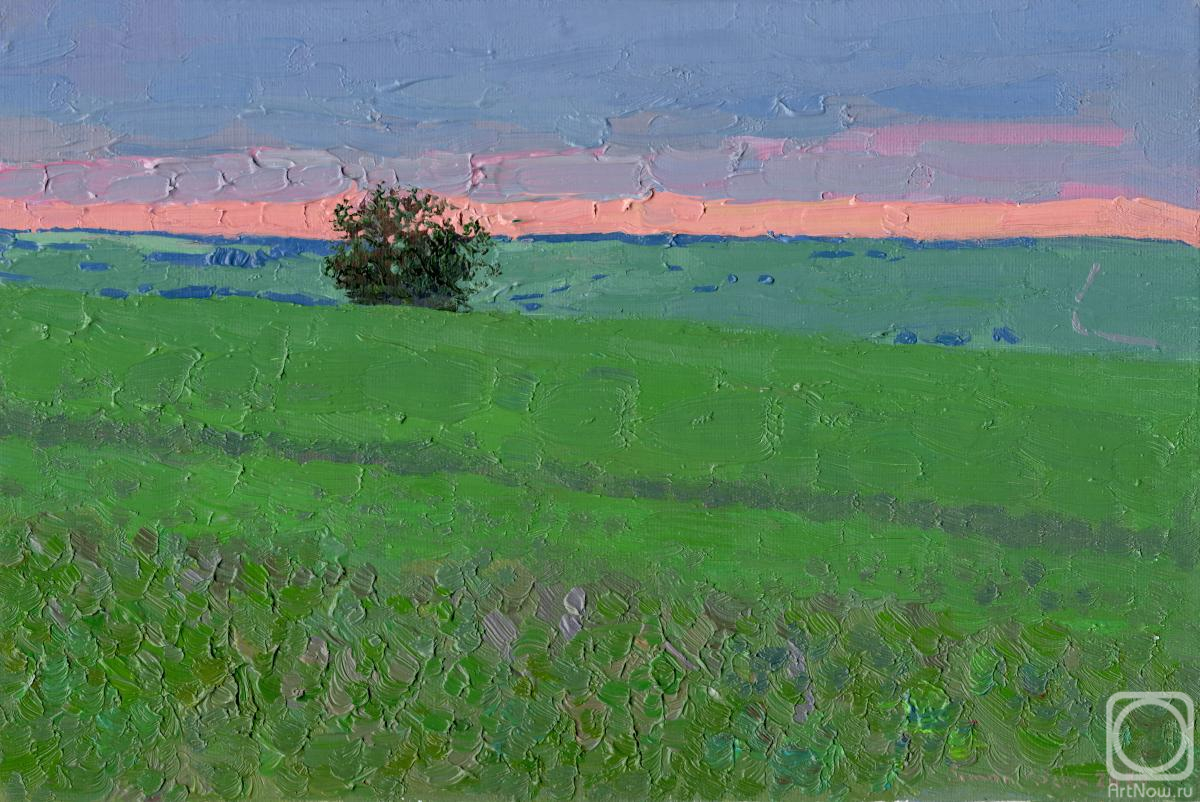 Kozhin Simon. Sunset in a pea field