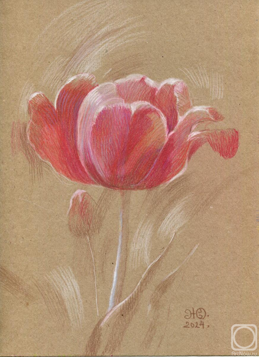 Zhukovskaya Yuliya. Tulip 4