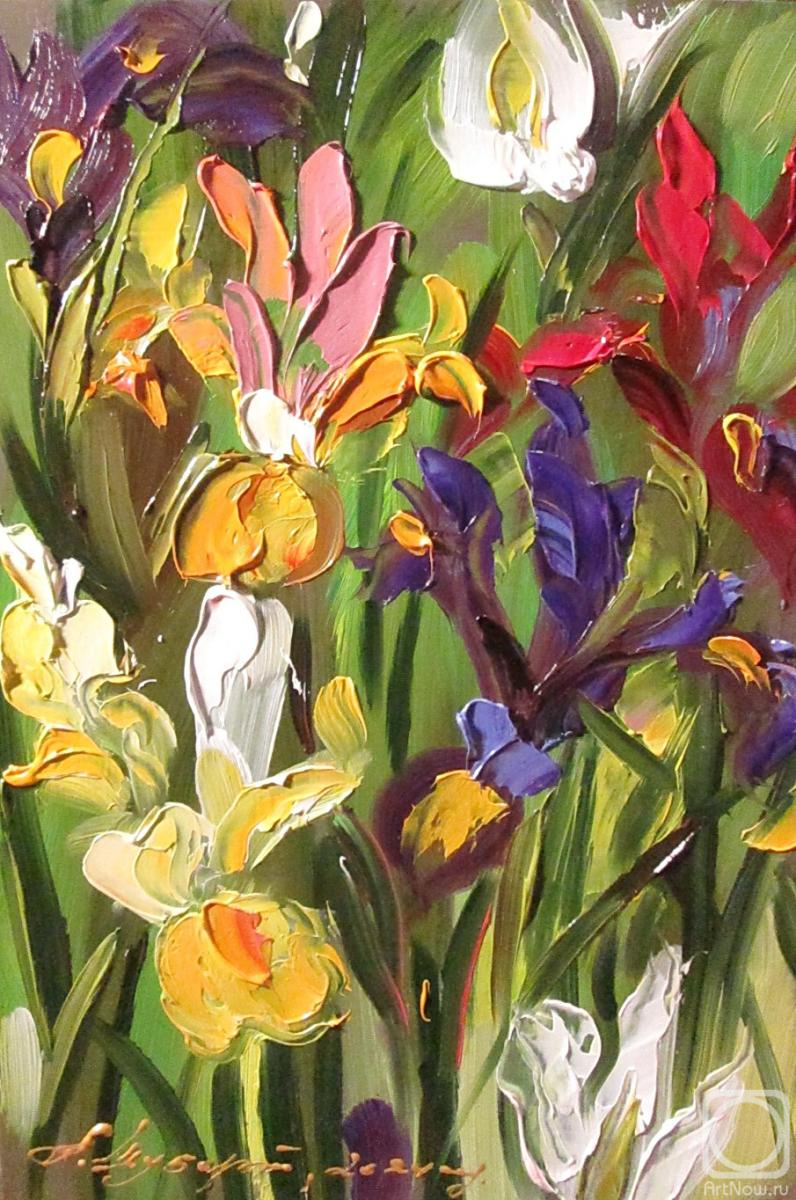 Schubert Albina. Wild irises