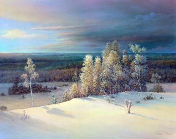 A frosty January day. Panin Sergey