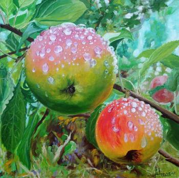 Siberian apples. Tsygankov Alexander